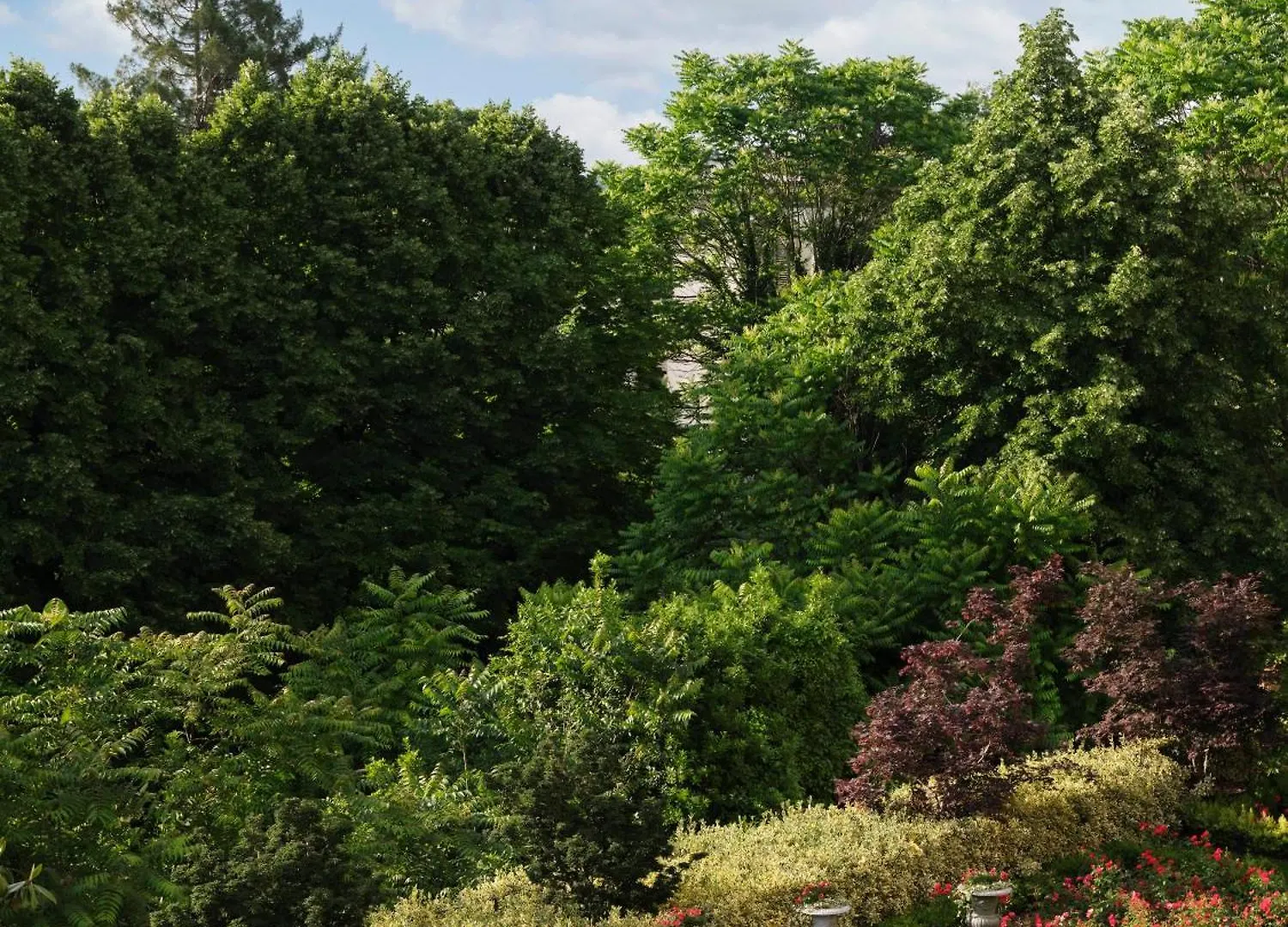 Hotel Collegio Alla Querce, Auberge Resorts Collection Florence