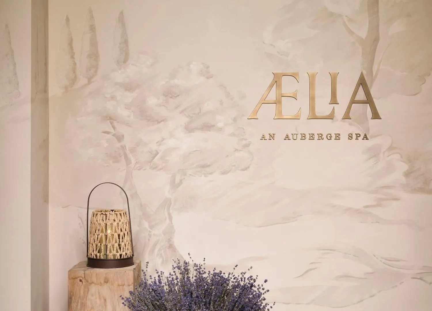 Collegio Alla Querce, Auberge Resorts Collection Floransa Otel